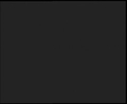 Nástup na běžecké tratě