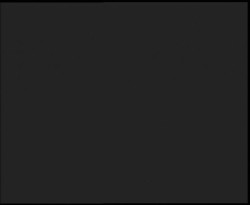 Nástup na běžecké tratě