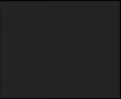 Nástup na běžecké tratě