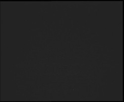 Nástup na běžecké tratě