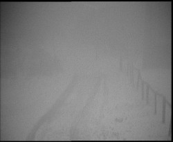 Nástup na běžecké tratě