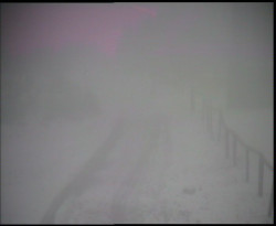 Nástup na běžecké tratě