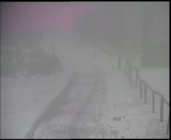 Nástup na běžecké tratě