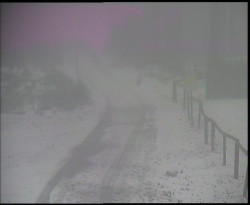 Nástup na běžecké tratě