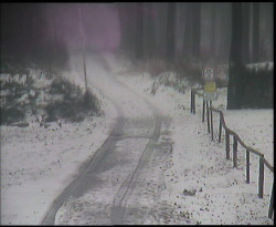 Nástup na běžecké tratě