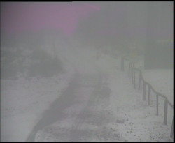 Nástup na běžecké tratě