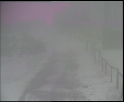 Nástup na běžecké tratě