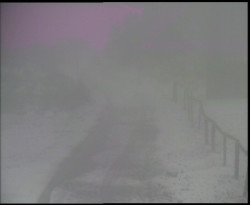 Nástup na běžecké tratě