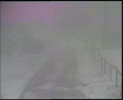 Nástup na běžecké tratě