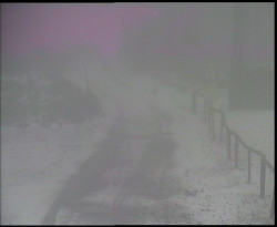 Nástup na běžecké tratě