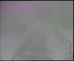 Nástup na běžecké tratě