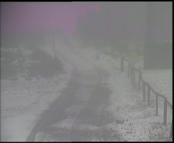 Nástup na běžecké tratě