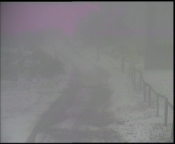 Nástup na běžecké tratě