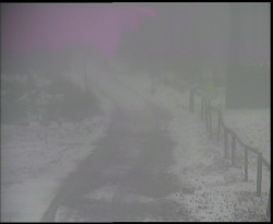 Nástup na běžecké tratě