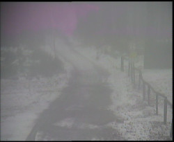 Nástup na běžecké tratě