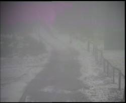 Nástup na běžecké tratě