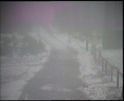 Nástup na běžecké tratě