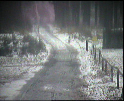 Nástup na běžecké tratě