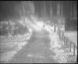 Nástup na běžecké tratě