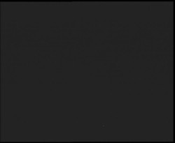 Nástup na běžecké tratě