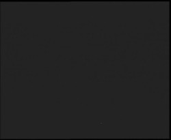 Nástup na běžecké tratě