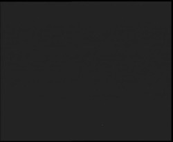 Nástup na běžecké tratě