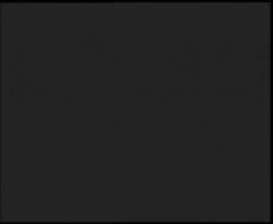 Nástup na běžecké tratě