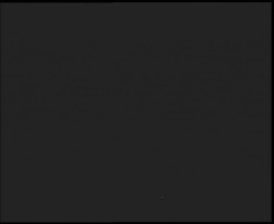 Nástup na běžecké tratě