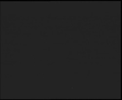 Nástup na běžecké tratě