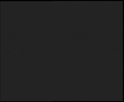 Nástup na běžecké tratě