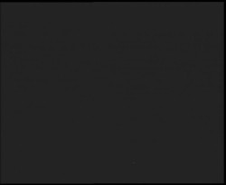 Nástup na běžecké tratě