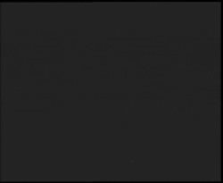 Nástup na běžecké tratě