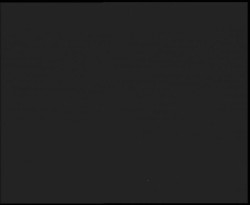 Nástup na běžecké tratě