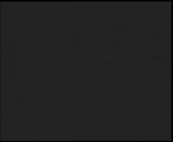 Nástup na běžecké tratě