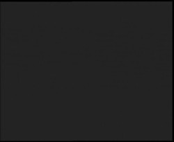 Nástup na běžecké tratě