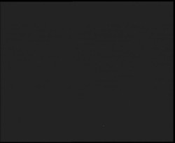 Nástup na běžecké tratě