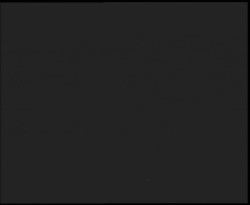 Nástup na běžecké tratě