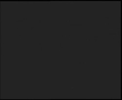 Nástup na běžecké tratě