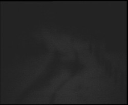 Nástup na běžecké tratě