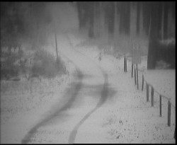 Nástup na běžecké tratě