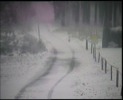 Nástup na běžecké tratě