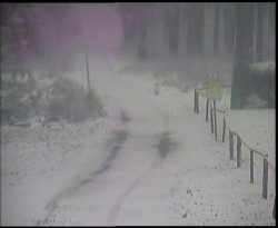 Nástup na běžecké tratě