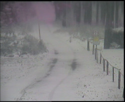 Nástup na běžecké tratě