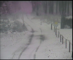 Nástup na běžecké tratě