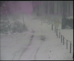 Nástup na běžecké tratě