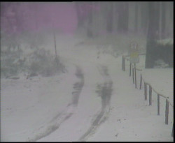 Nástup na běžecké tratě