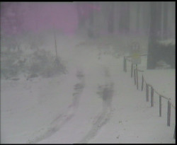 Nástup na běžecké tratě