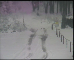 Nástup na běžecké tratě