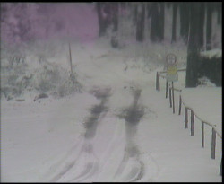 Nástup na běžecké tratě