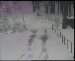 Nástup na běžecké tratě